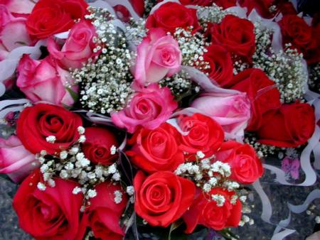 splendide gerbe de roses